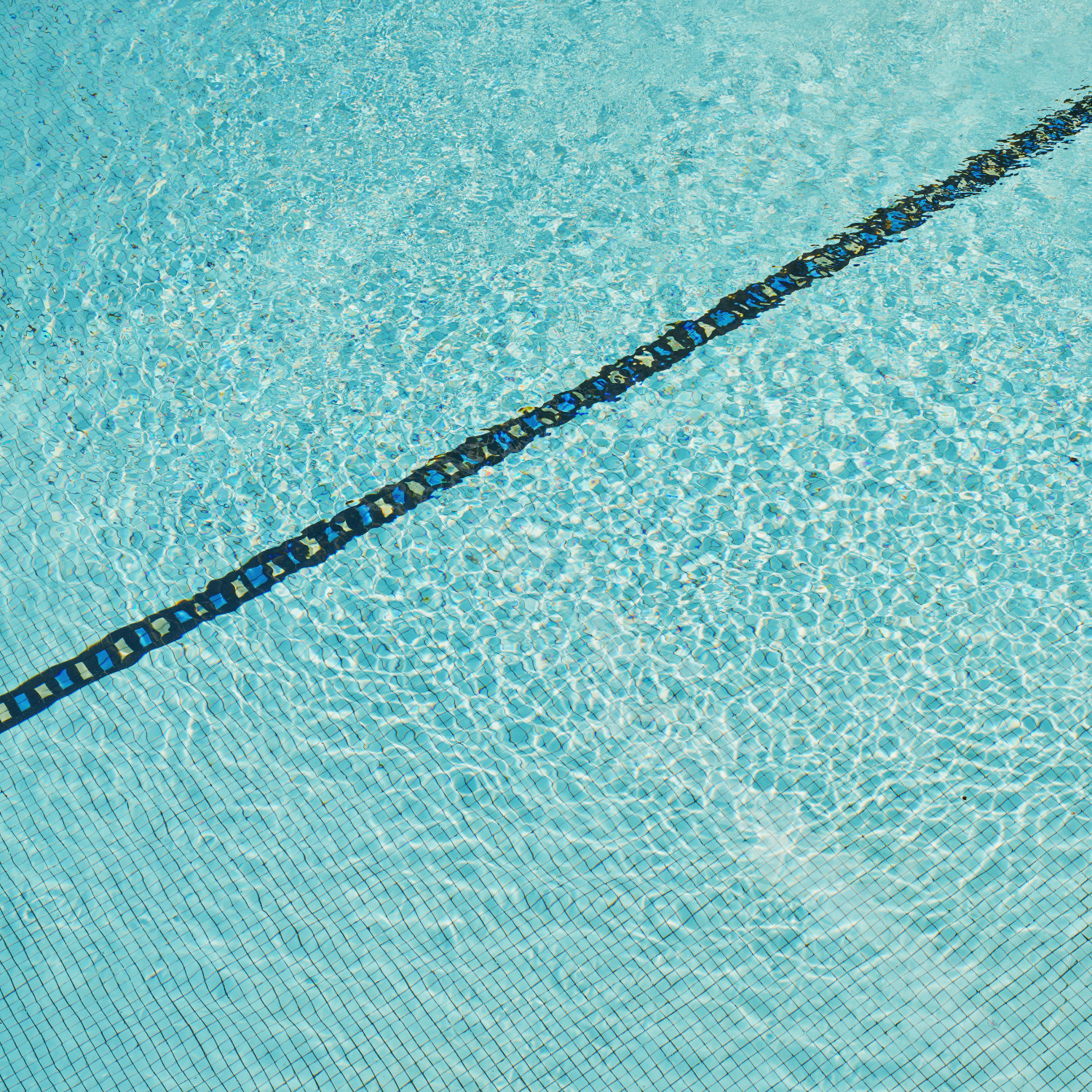 01-buhler-construction-piscine-ecologique-traitement-eau